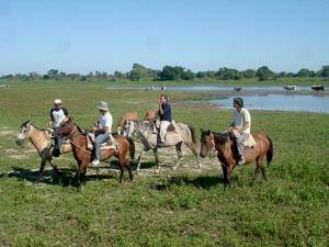 Magical Journeys to Argentina