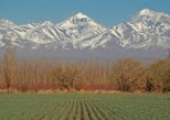 ALL Mendoza Tours, Travel & Activities