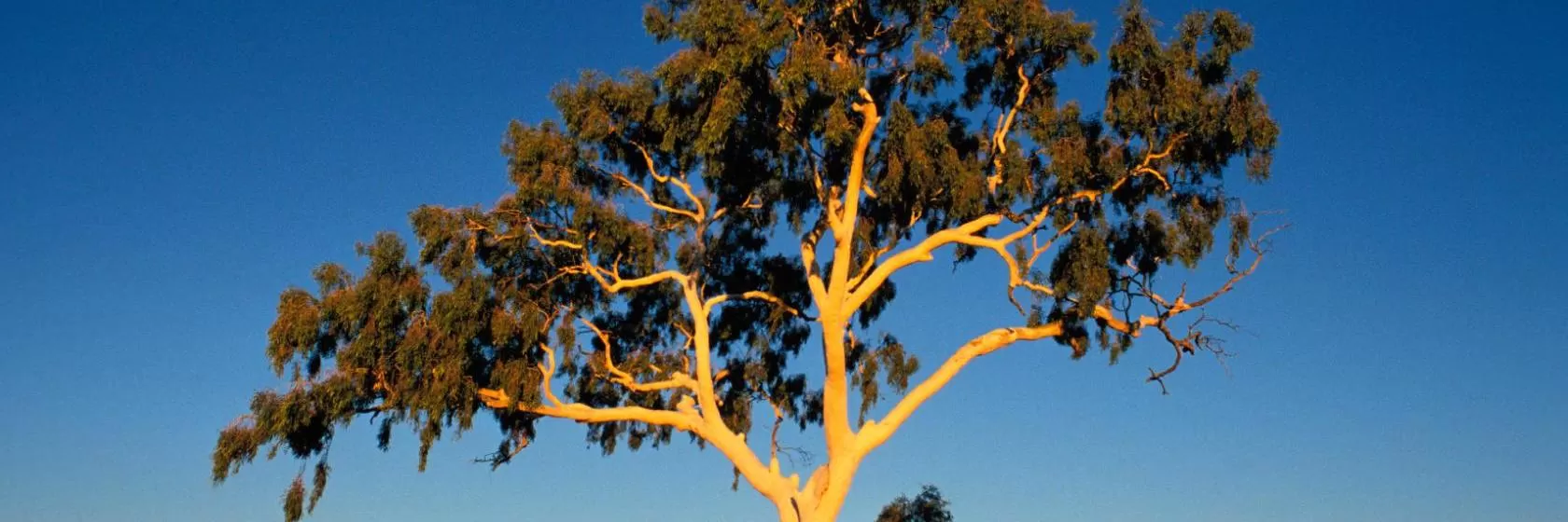 Alice Springs, Northern Territory