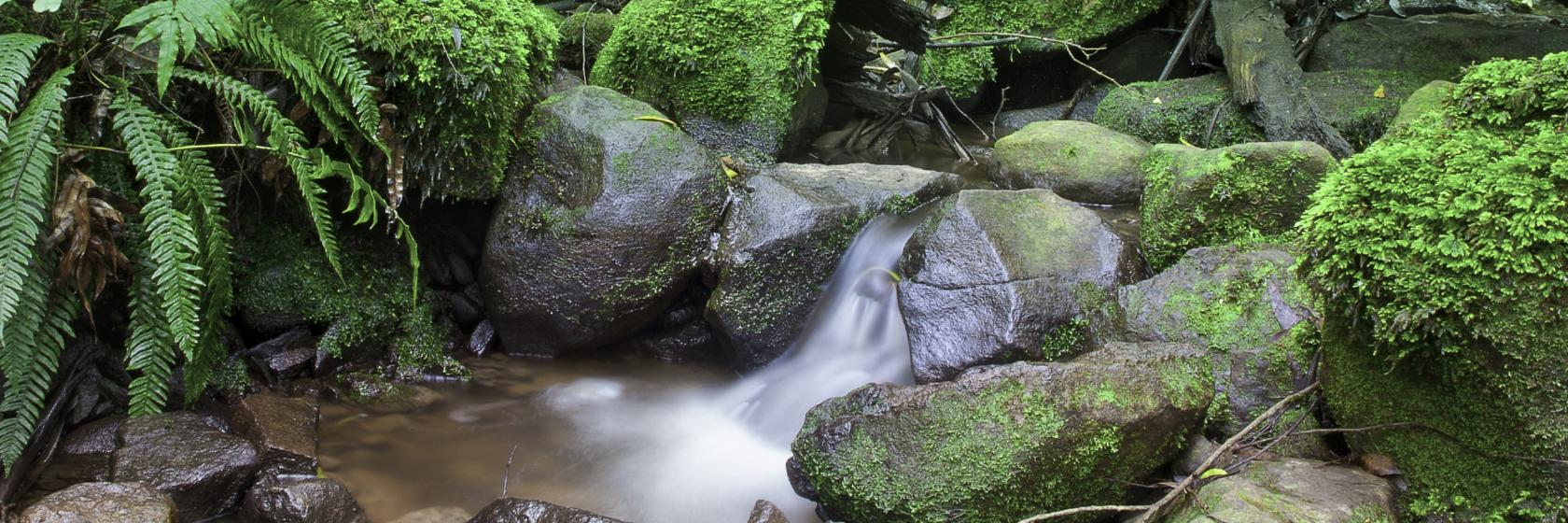 Dandenong Ranges, Victoria Hotels