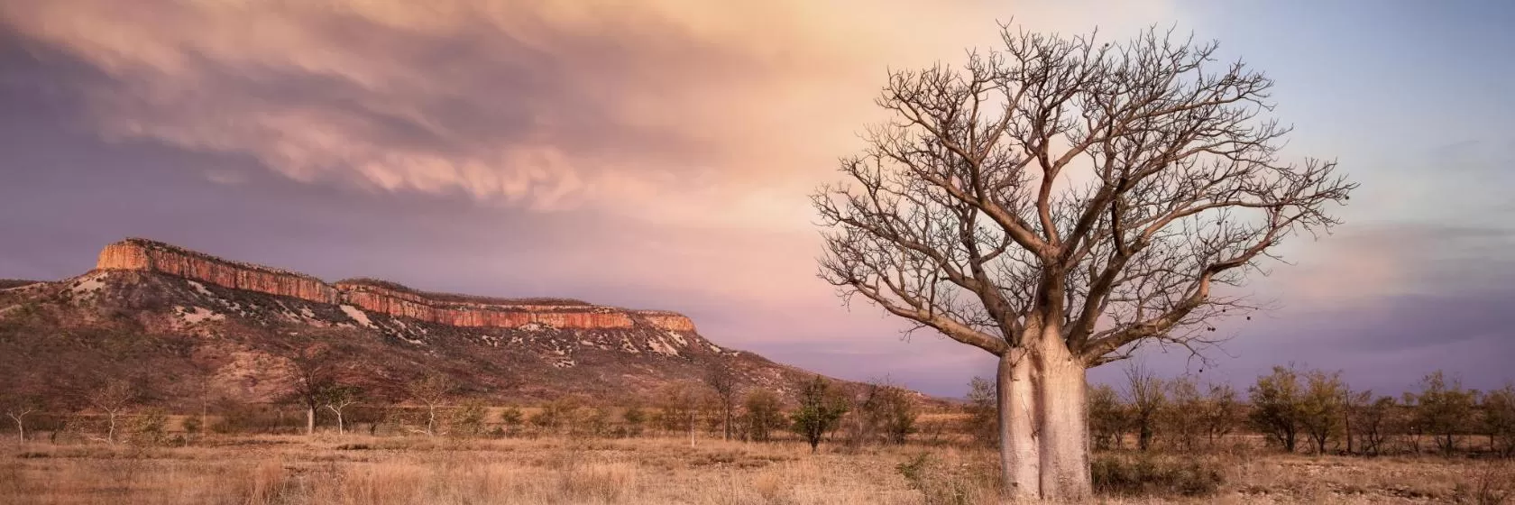 Kimberley, Western Australia Hotels