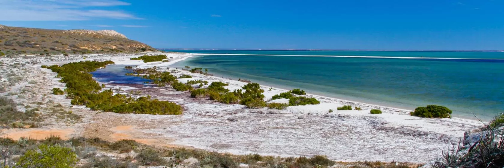 Shark Bay, Western Australia Hotels