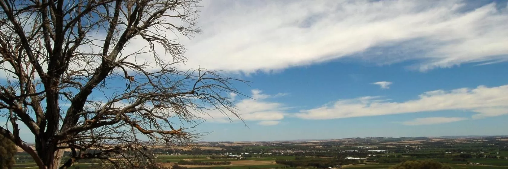 Tanunda, South Australia Hotels