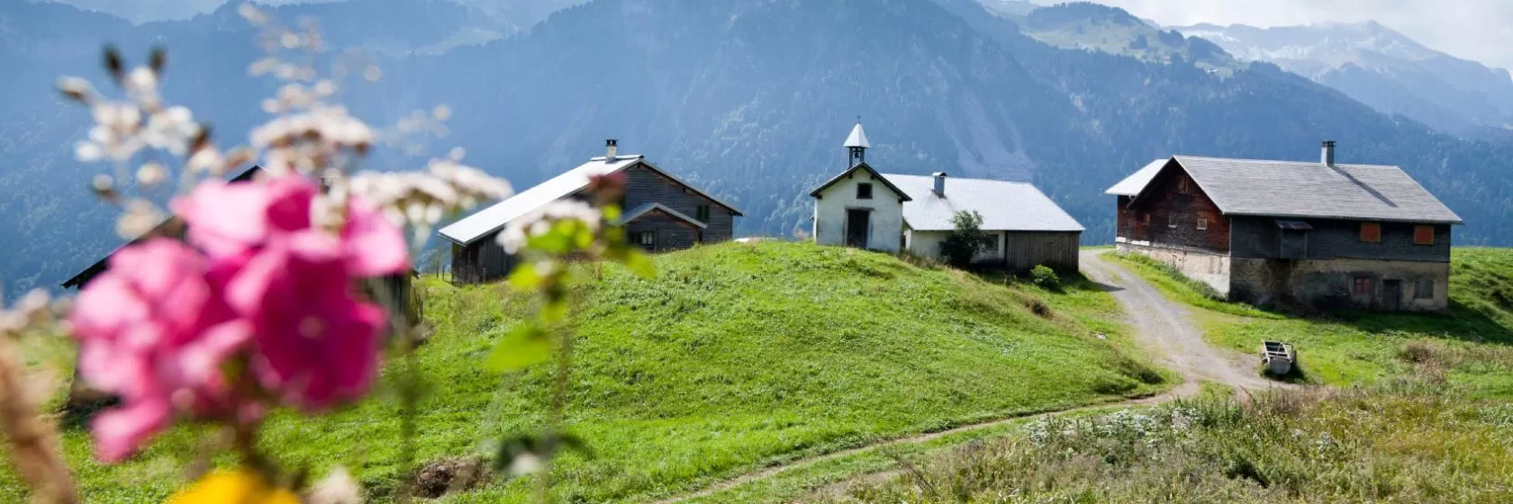 Bildstein, Vorarlberg Hotels