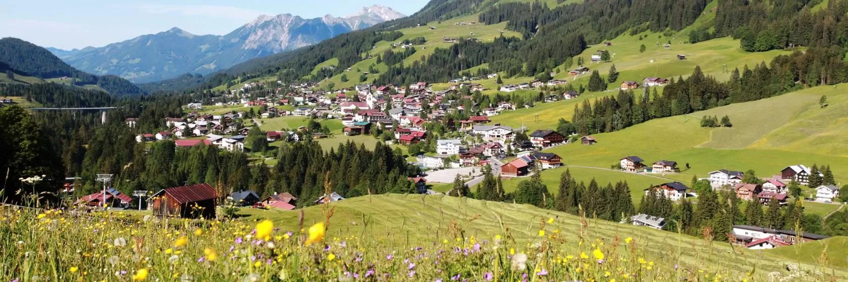 Riezlern, Vorarlberg Hotels