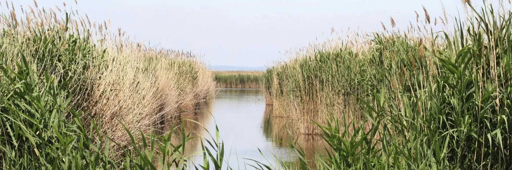 Weiden am See, Burgenland Hotels & Accommodation