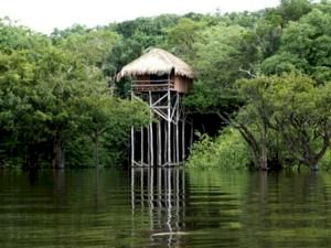 3 Star Hotels in Amazonas