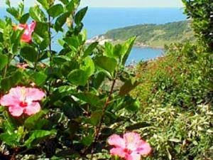 Praia do Rosa Hotels, Santa Catarina