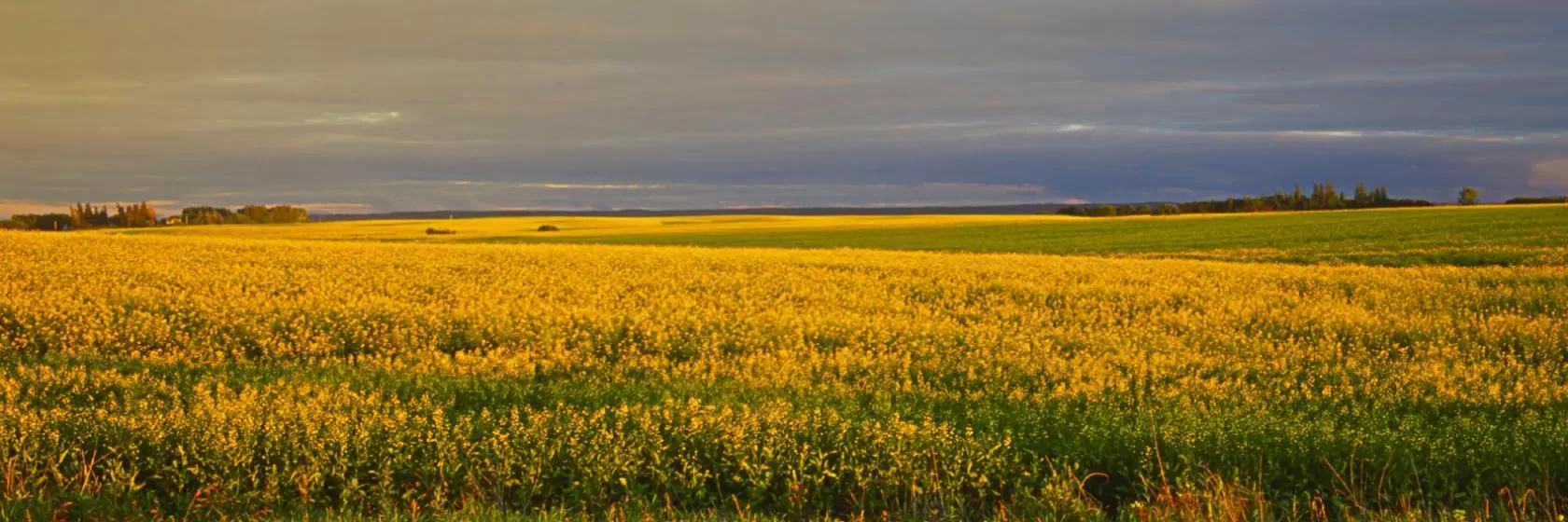 Portage La Prairie, Manitoba Hotels