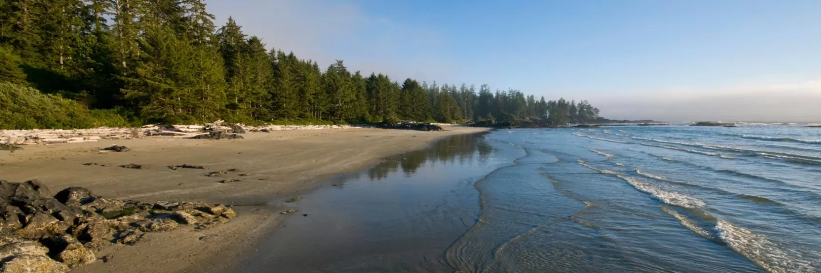 Tofino, British Columbia Hotels