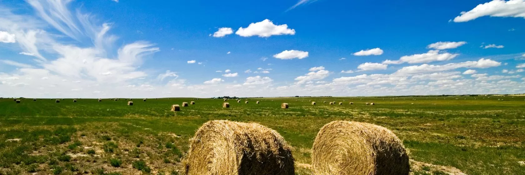 Weyburn, Saskatchewan Hotels