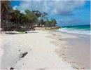 Barbados Hotels & Resorts