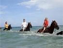 Heritage Beach Horse Ride