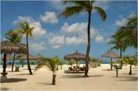 Aruba Hotels & Resorts