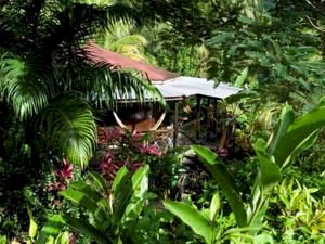 Dominica Hotels & Resorts