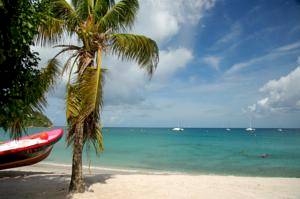 Martinique Hotels & Resorts