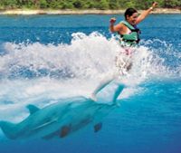British Virgin Islands Water Sports