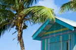 Cayman Islands Tours, Cruises, Travel & Activities