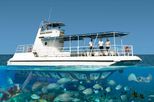 Cayman Islands Tours, Travel & Activities