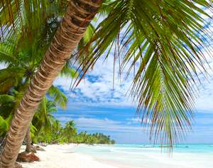 Dominican Republic Tours, Travel & Activities