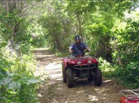 Ocho Rios Outdoor Activities