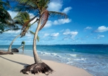 ALL Punta Cana Tours, Travel & Activities