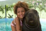 US Virgin Islands Family Friendly Tours