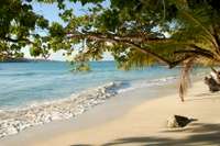 Grenada Shore Excursions