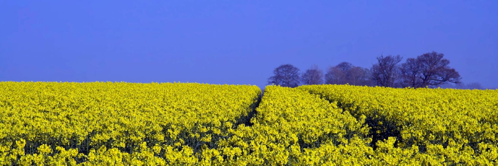 Flitwick, Bedfordshire