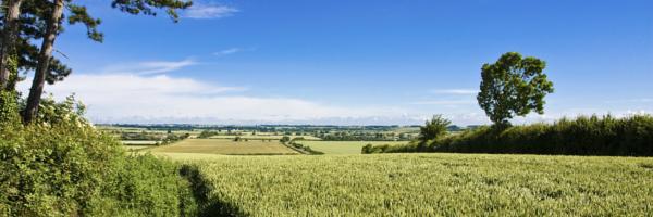 Bedfordshire, England