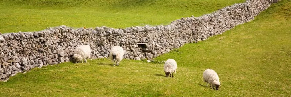 Bell Busk, Yorkshire Dales Hotels