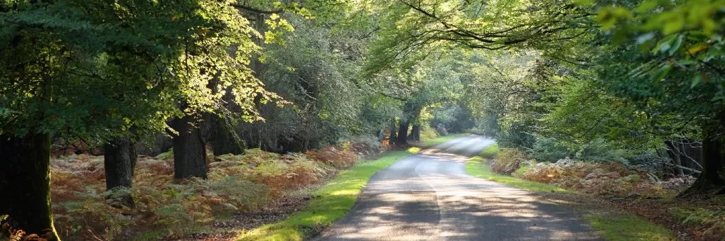 Brockenhurst, Hampshire Hotels