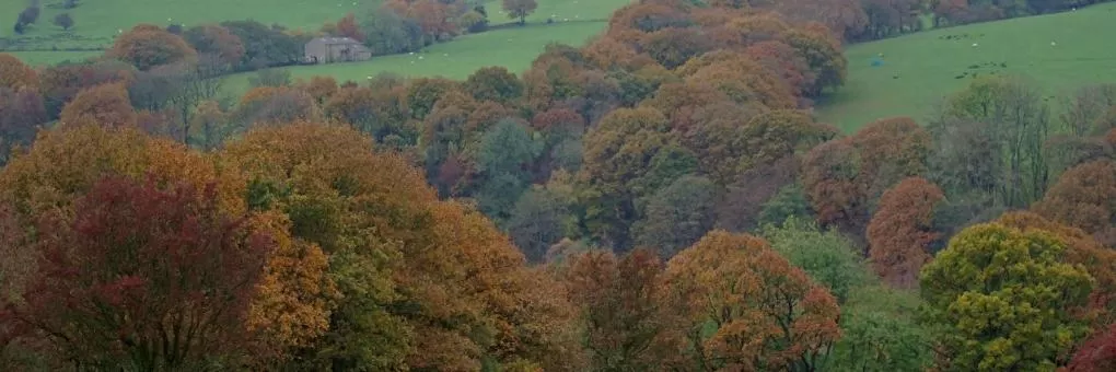 Chipping, Lancashire Hotels