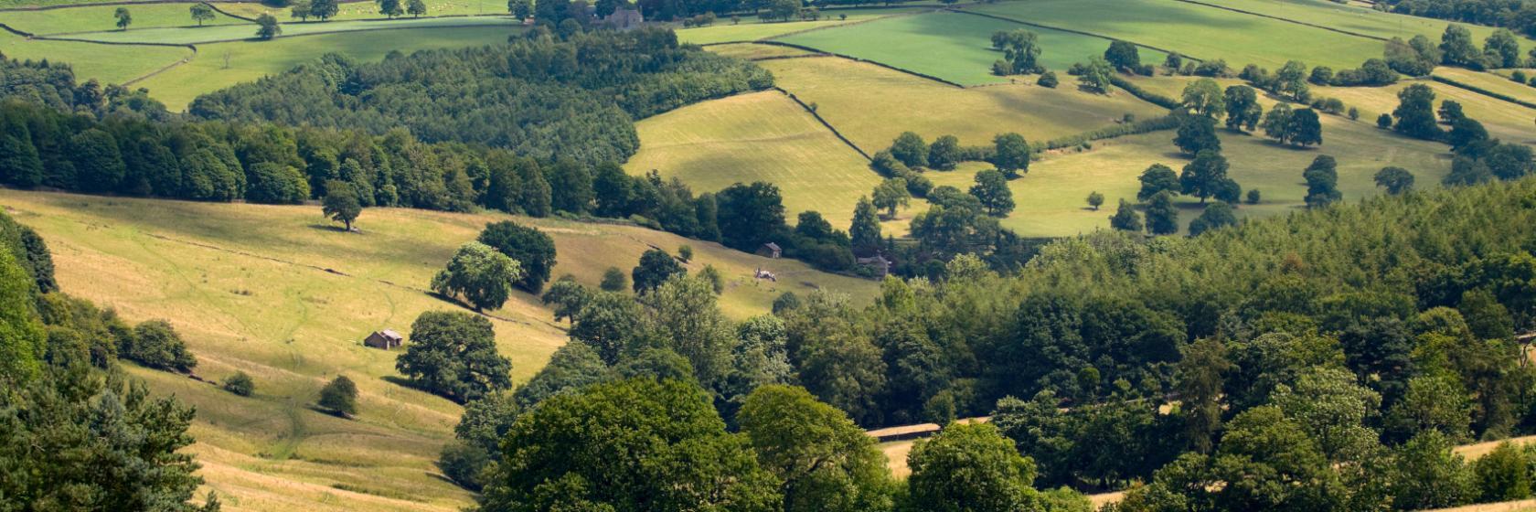 Froggatt, Derbyshire Hotels