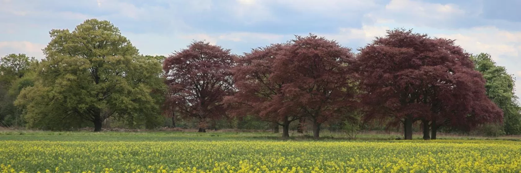 Eastwood, Nottinghamshire Hotels