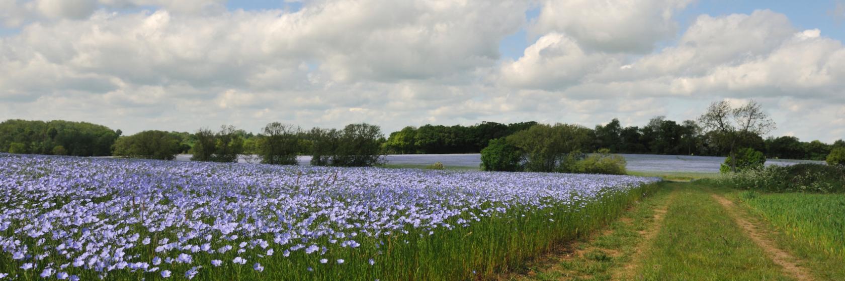 Chelmsford, Essex Hotels