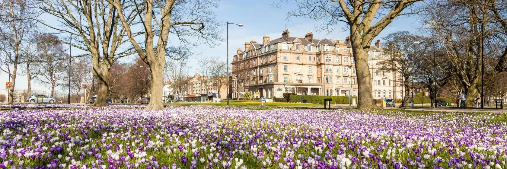 Harrogate, North Yorkshire Hotels