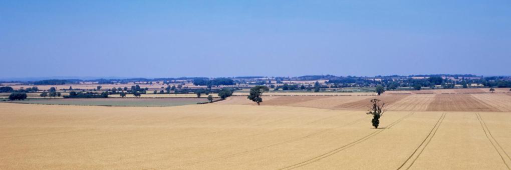 Sibson, Leicestershire Hotels