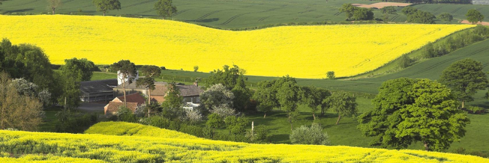 Willoughby on the Wolds, Leicestershire Hotels