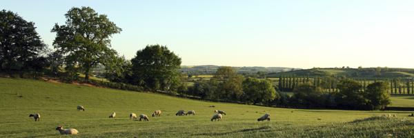 Northamptonshire, England