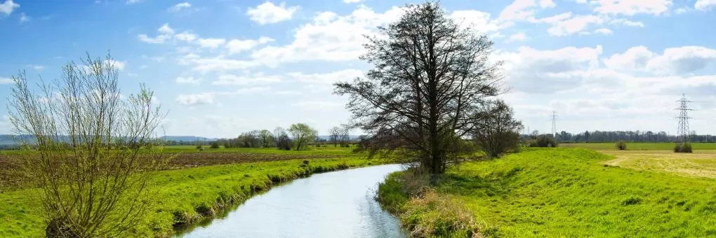 Radstock, Somerset Hotels