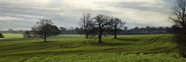 South Yorkshire, England