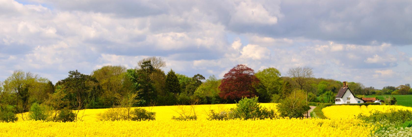 Stoke by Nayland, Suffolk Hotels