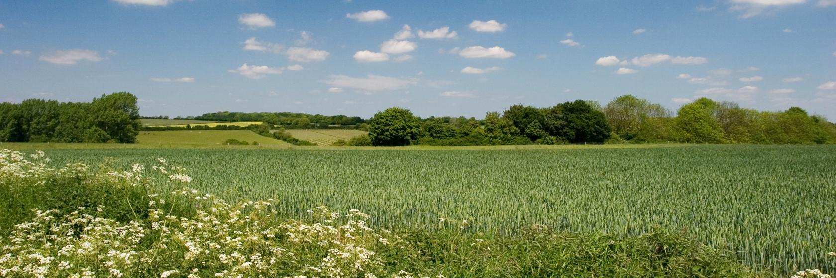 Suffolk, England