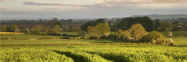 Warwickshire, England