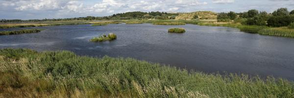 West Midlands County, England