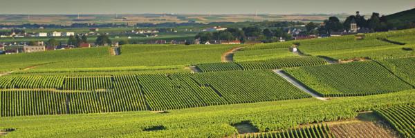 Champagne - Ardenne, Northeast France