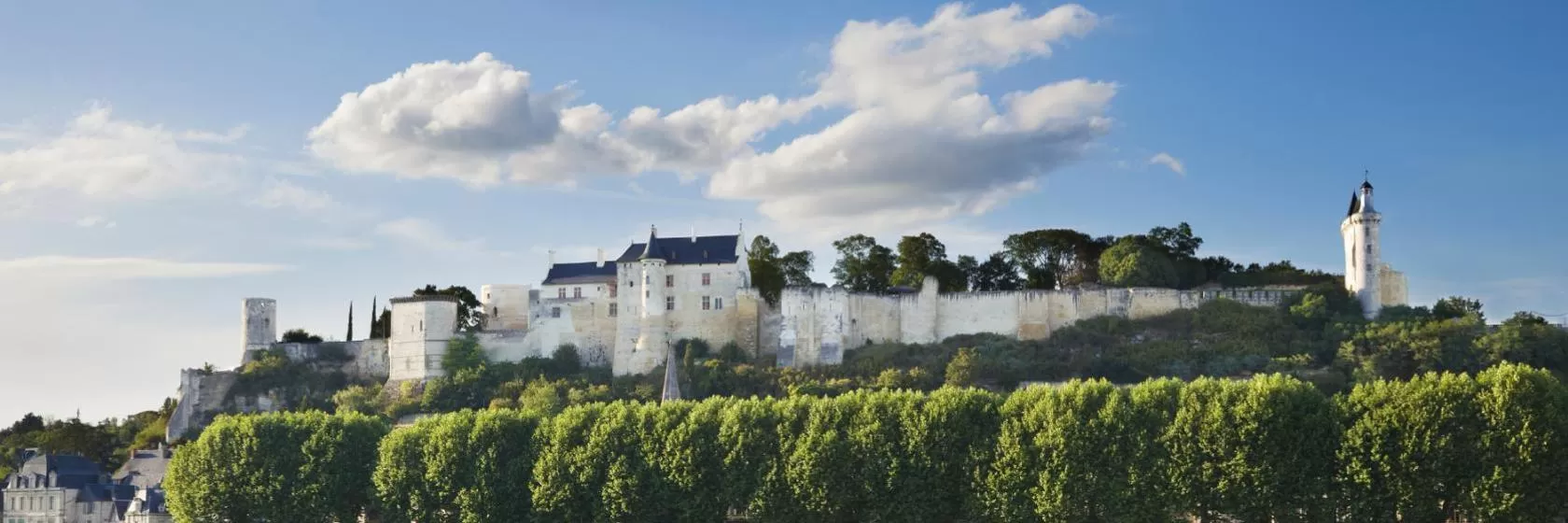 Chinon, Centre Hotels