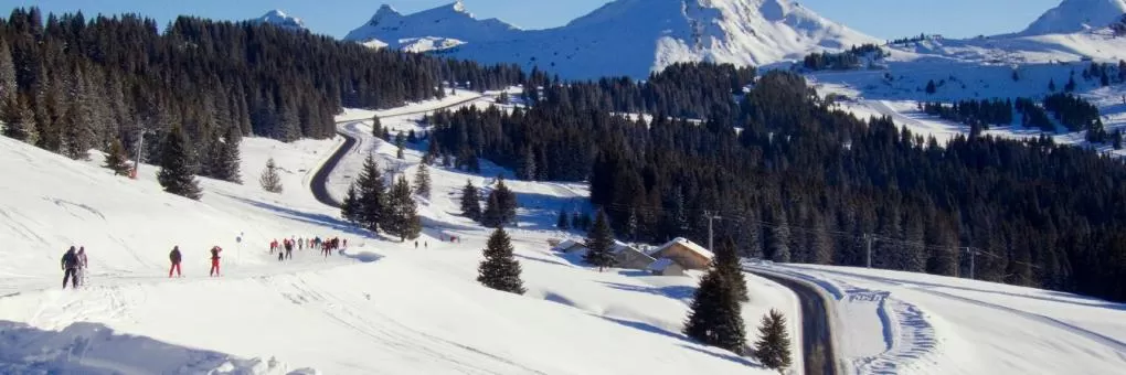 Morzine, Rhone-Alpes Hotels