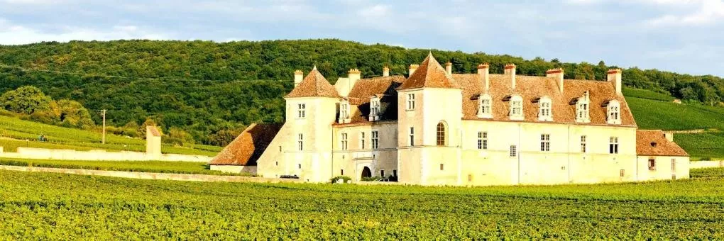 Nuits-Saint-Georges, Burgundy Hotels